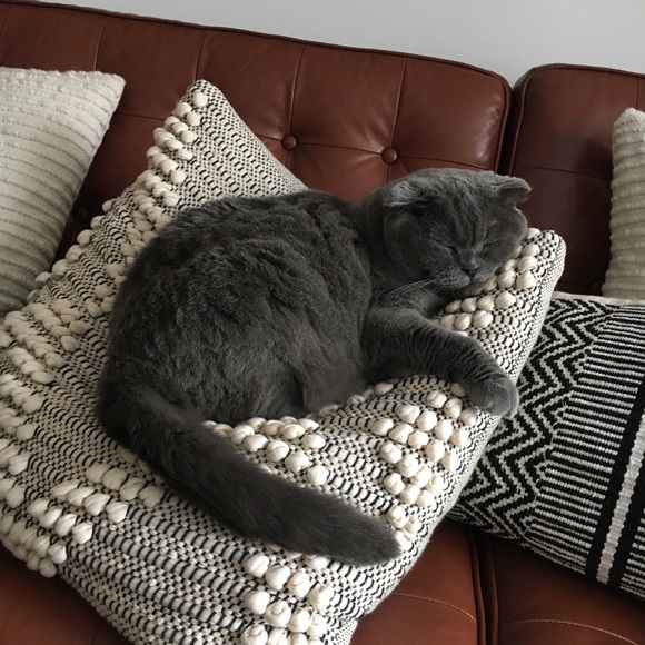 Meet your Posher, Jen - Picture 1 of 1